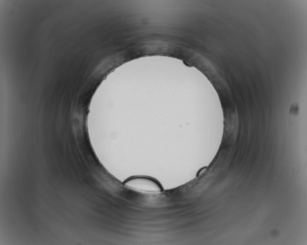 X0000100330333200807031241