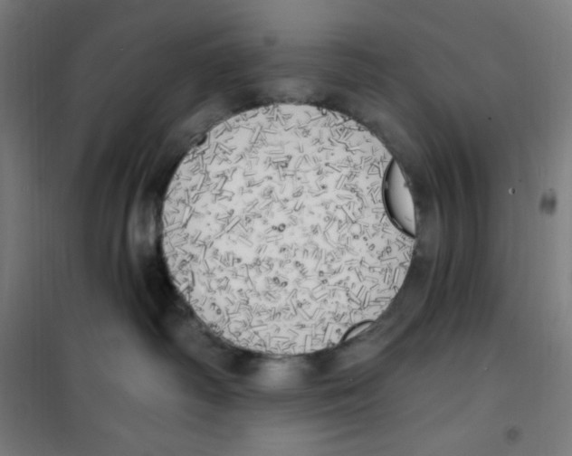 X0000100330334200807031241