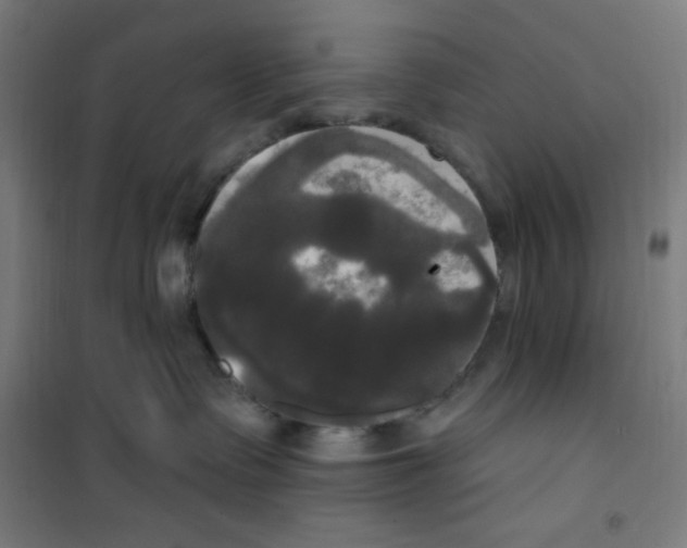 X0000100330335200807031240