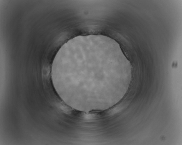 X0000100330336200807031240