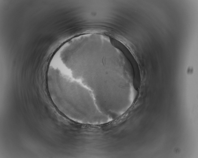 X0000100330337200807031240