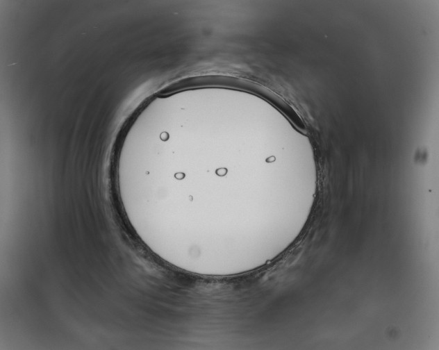 X0000100330340200807031240