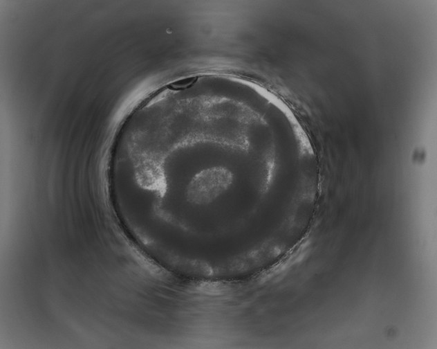 X0000100330341200807031240