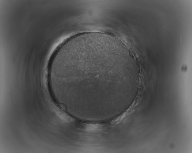 X0000100330342200807031240