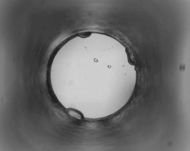 X0000100330344200807031240