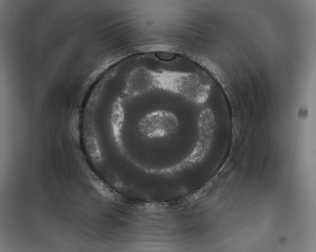 X0000100330345200807031240