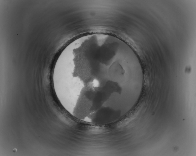 X0000100330347200807031240