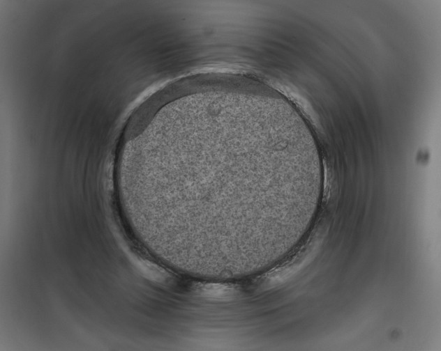 X0000100330348200807031240