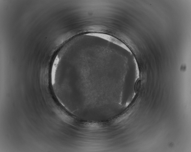 X0000100330349200807031240