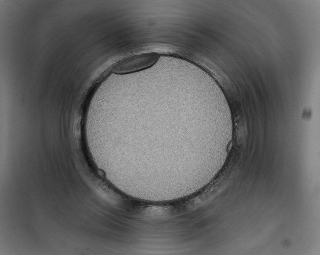 X0000100330350200807031240