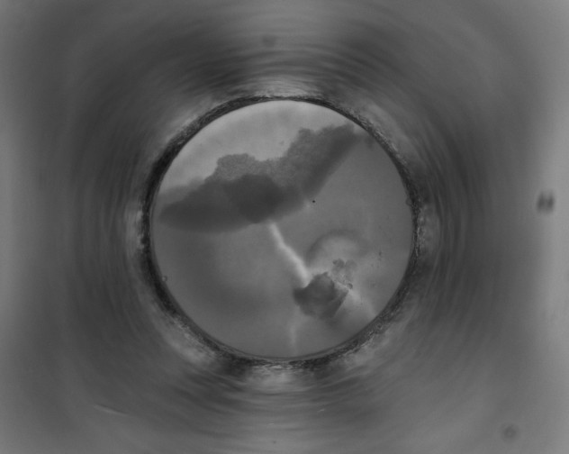 X0000100330351200807031240