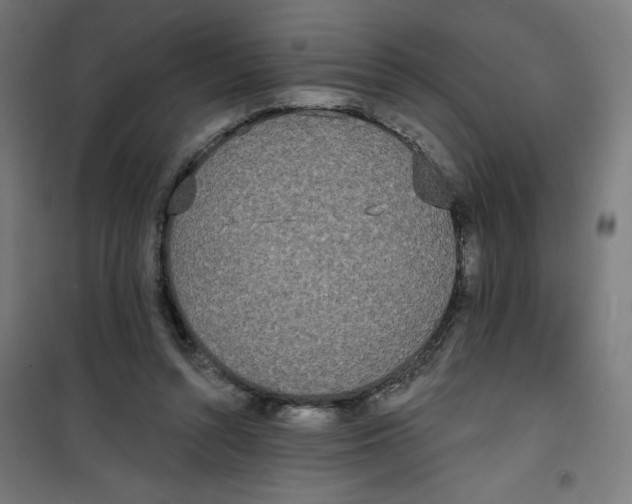 X0000100330352200807031240