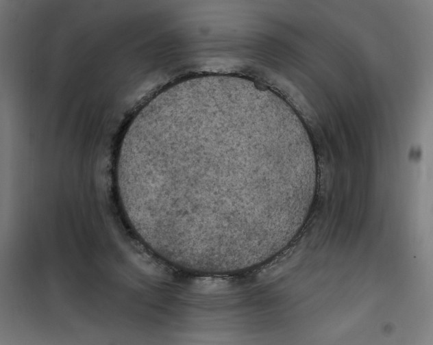 X0000100330354200807031240