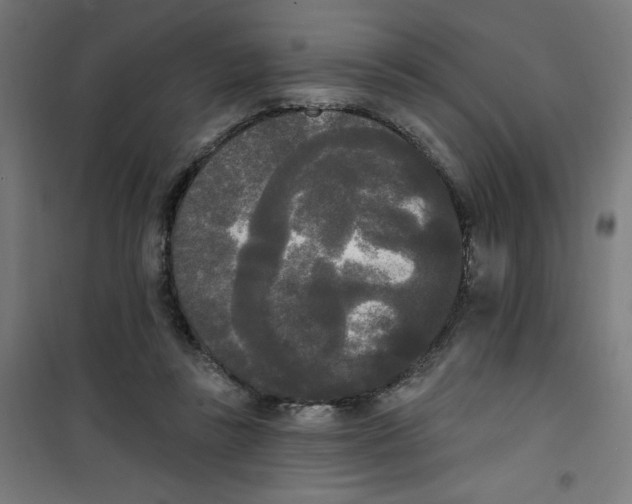 X0000100330355200807031240