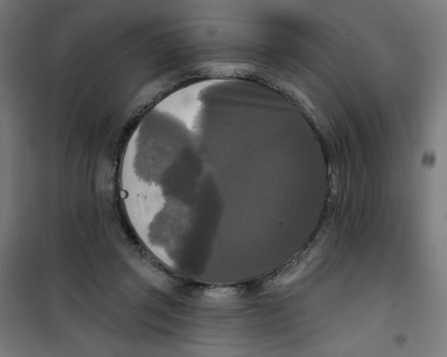 X0000100330357200807031240