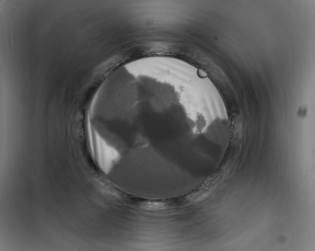 X0000100330361200807031240