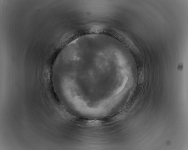 X0000100330363200807031240