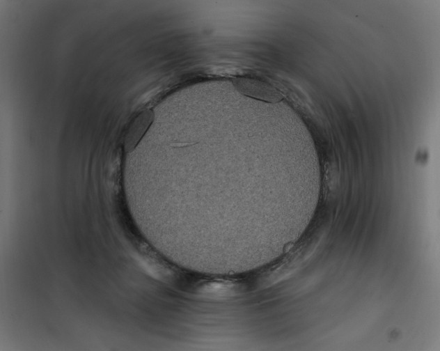 X0000100330364200807031240