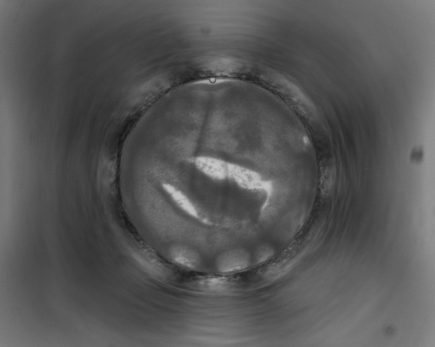 X0000100330365200807031240