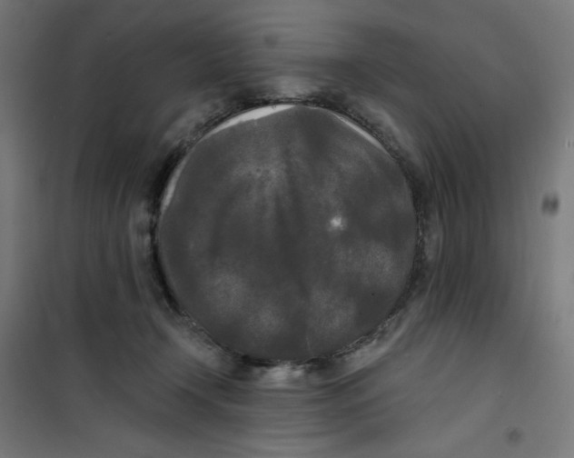 X0000100330366200807031240