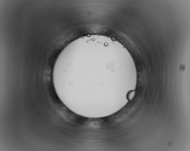 X0000100330368200807031240