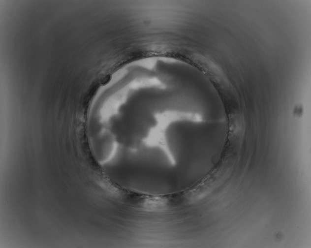 X0000100330369200807031240