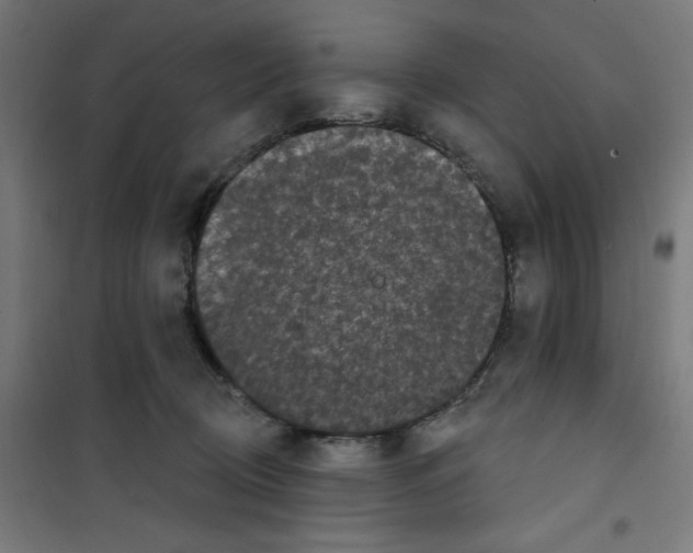 X0000100330370200807031240