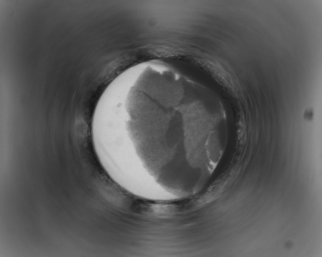 X0000100330371200807031240