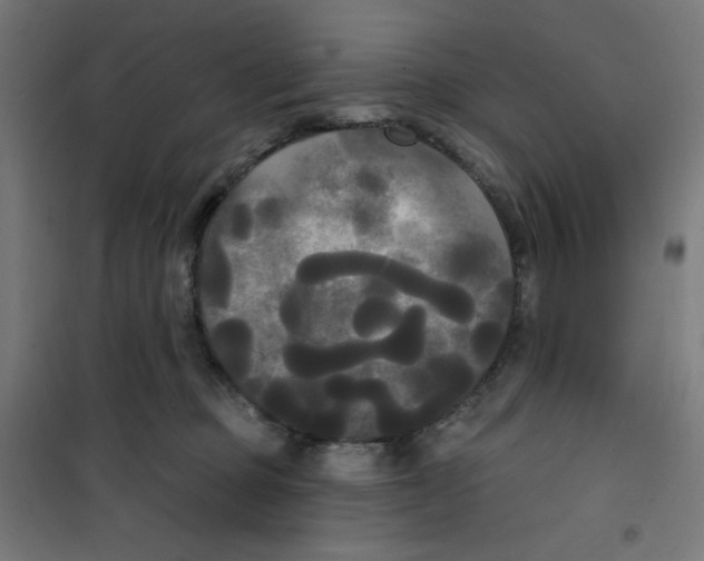 X0000100330373200807031240