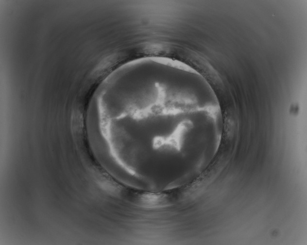 X0000100330375200807031240