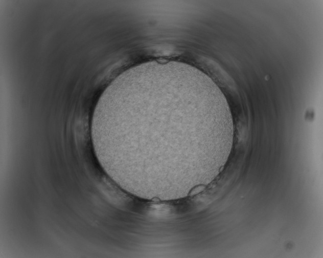 X0000100330376200807031240