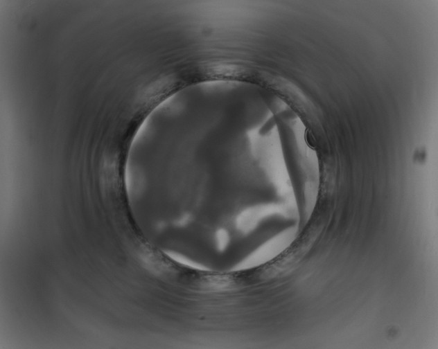 X0000100330377200807031240