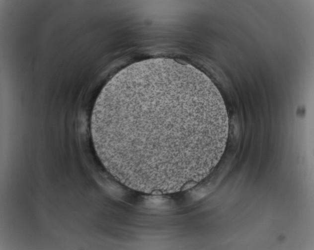 X0000100330380200807031240