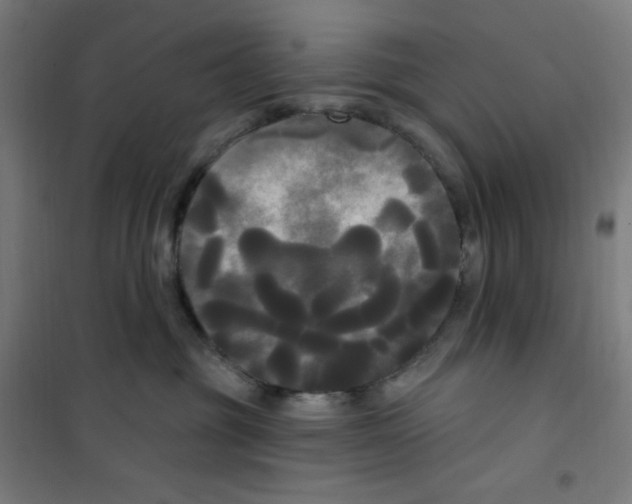 X0000100330381200807031240