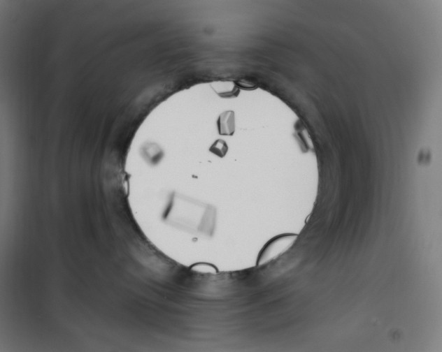 X0000100330384200807031240