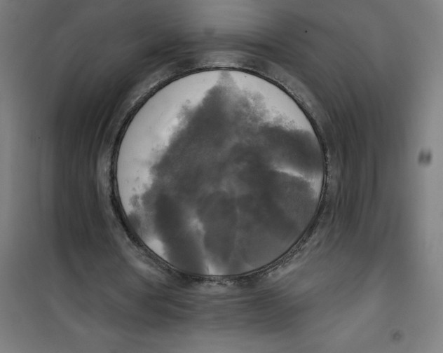 X0000100330386200807031240