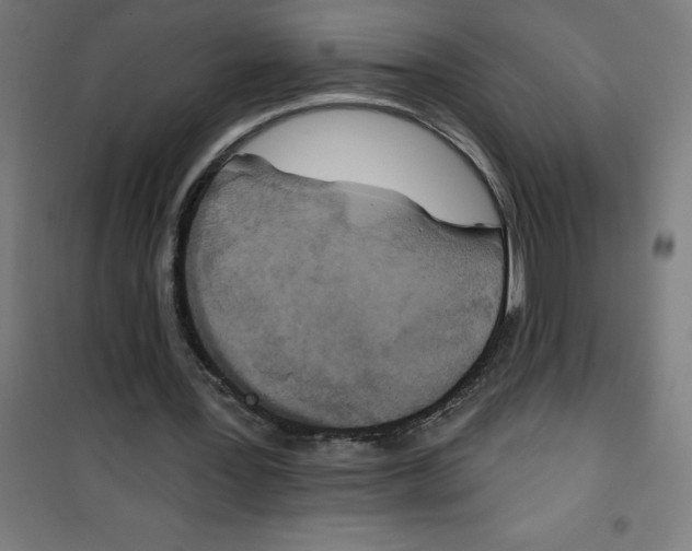 X0000100330387200807031240