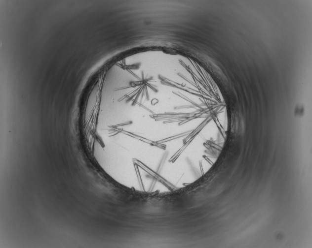 X0000100330388200807031240