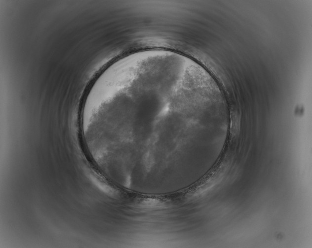 X0000100330390200807031240