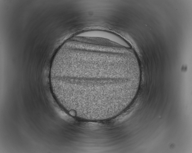 X0000100330393200807031240