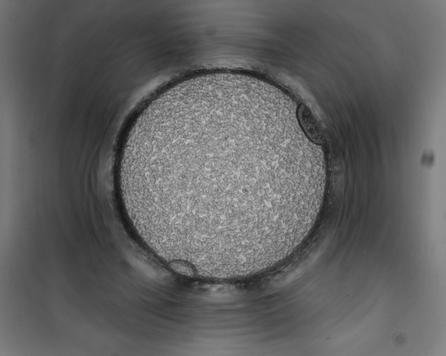 X0000100330395200807031240