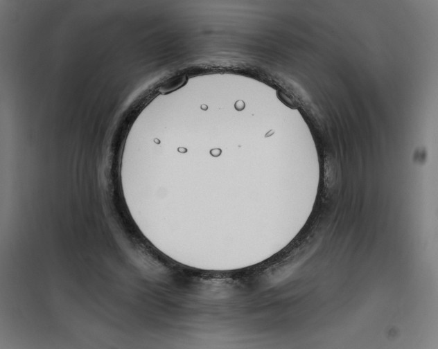 X0000100330396200807031240