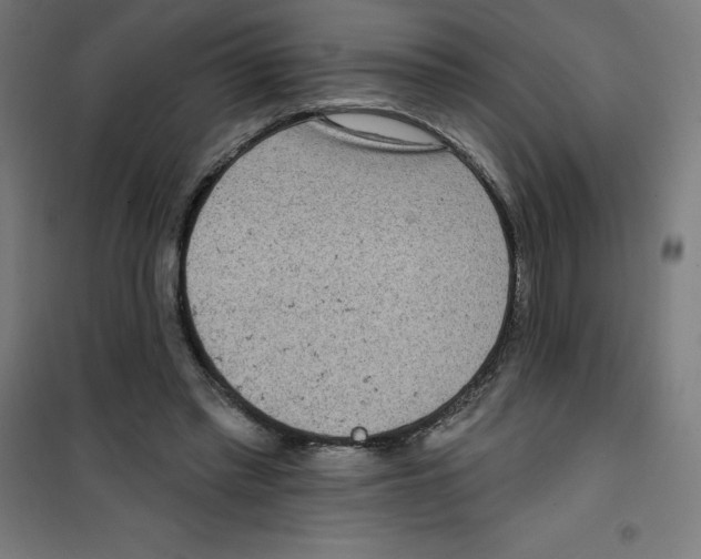 X0000100330397200807031240