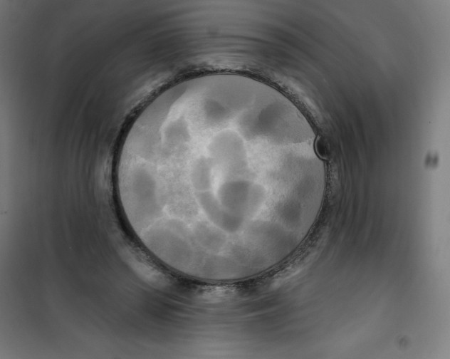 X0000100330398200807031240