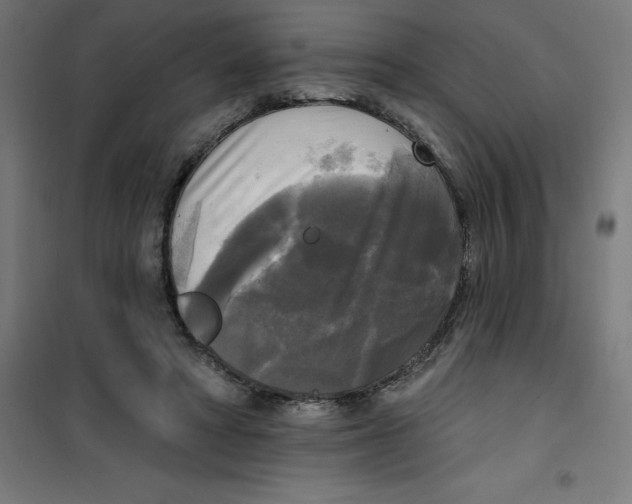 X0000100330402200807031240