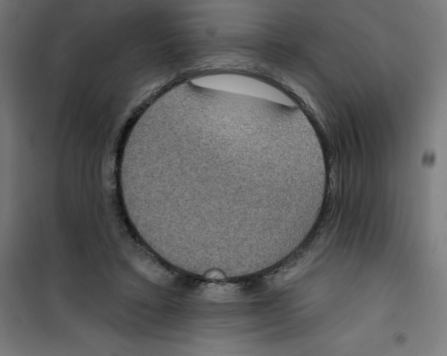 X0000100330403200807031240