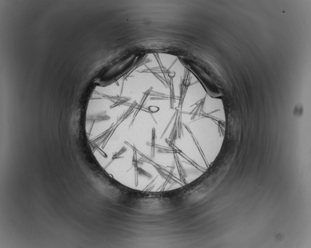 X0000100330404200807031239