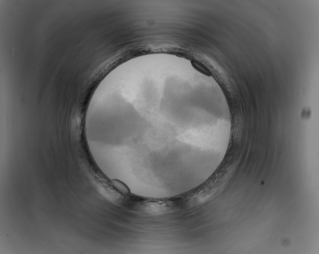 X0000100330405200807031239