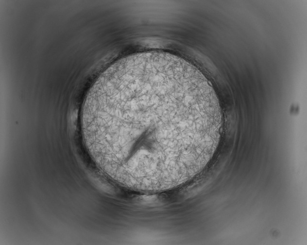 X0000100330406200807031239
