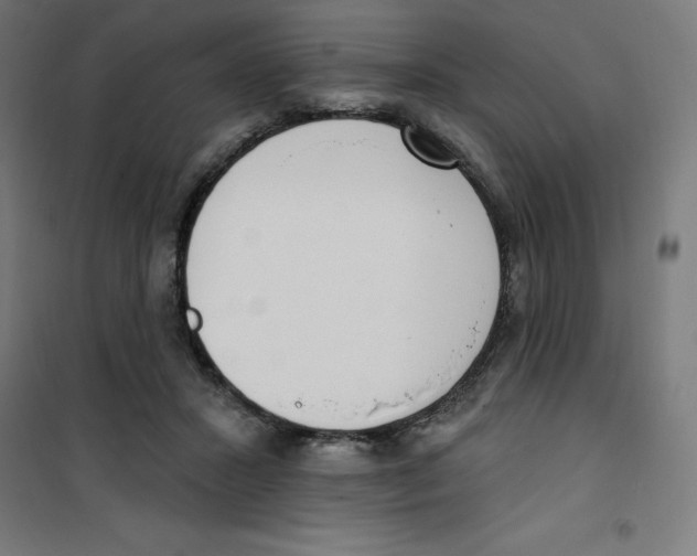 X0000100330407200807031239